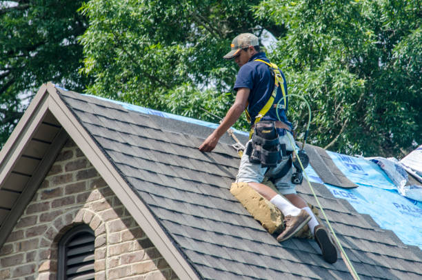 Best Commercial Roofing Services  in Tuskegee, AL